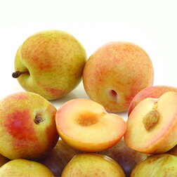 ������ ������ �������� (������ �������� � ����� � �������) ���� (������ �����) (� �����)   ����