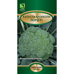 ������ ������ ������� �������� ���� F1   ����