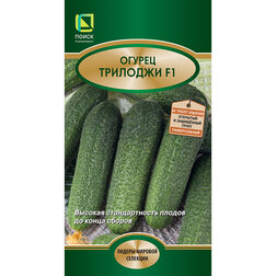 ������ ������ ������ �������� F1   ����