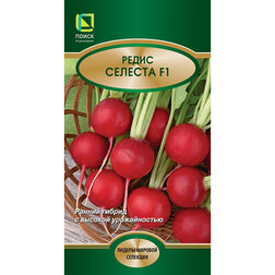 ������ ������ ����� ������� F1   ����