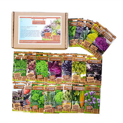 ������ ������ ����� ����� 