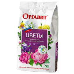 ������ ������ ����� 2�� �������   ����