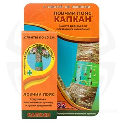 ������ ������ ������ ������ ����   ����