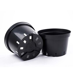 ������ ������ ������ D29 ����� ������ V10 �   ����