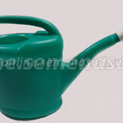 ������ ������ ����� ������������� (2�) � ��������   ����