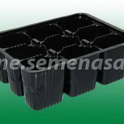 ������ ������ ���� ������� �/�������-9�����   ����