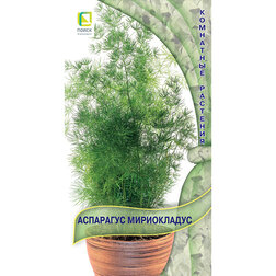 ������ ������ ��������c �����������   ����