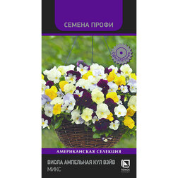 ������ ������ ����� ��������� ��� ���� ���� (������ �����)   ����