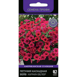 ������ ������ ������� ��������� ���� ������ ����� (������ �����)   ����