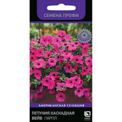 ������ ������ ������� ��������� ���� ����� (������ �����)   ����