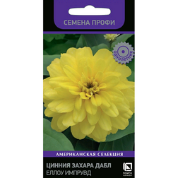 ������ ������ ������ ������ ���� ����� ������� (������ �����)   ����