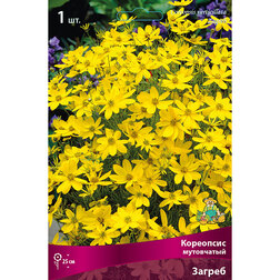 ������ ������ ��������� ���������� ������   ����