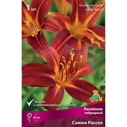 ������ ������ �������� ��������� (����� ������)   ����