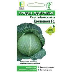 ������ ������ ������� ������������ ��������� F1 (������ ��������)   ����