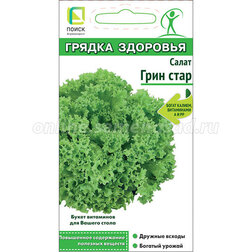 ������ ������ ������ ������ ���� ���� (������ ��������)   ����