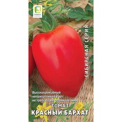 ������ ������ ����� ������� ������ (��������� �����)   ����