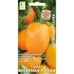 ������ ������ ����� �������� ����� (��������� �����)   ����