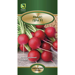 ������ ������ ����� ���� F1   ����