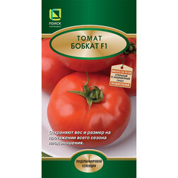 ������ ������ ����� ������ F1   ����