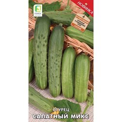 ������ ������ ������ �������� ����   ����