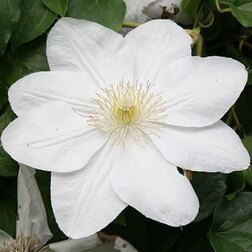 ������ ������ �������� ��������������� ����� �� ������   ����