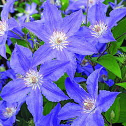 ������ ������ �������� ��������������� ��� �������   ����