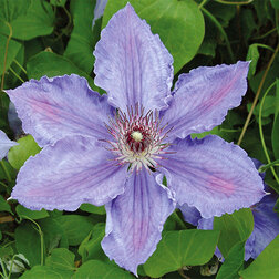 ������ ������ �������� ��������������� (�����) ������ ������   ����