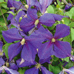 ������ ������ �������� ��������������� (�����) ������� �������   ����