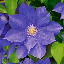 ������ ������ �������� ��������������� �.�.��� (1-�����)   ����