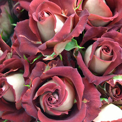 ������ ������ ���� ����� (�����������) ��������   ����