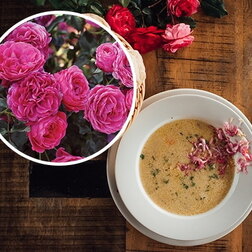 ������ ������ ���� ���������� ������ (���������� �����)   ����