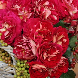 ������ ������ ���� ������ ���������� �� ����������   ����