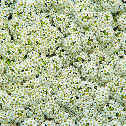 ������ ������ ������� ���������� ���� (1��-5000��) ���������������� ������   ����