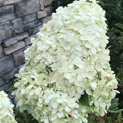 ������ ������ ��������� ����������� �������� ���� ������ (����� �����)   ����