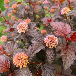 ������ ������ ������������� ������������� ���� ����� ��   ����