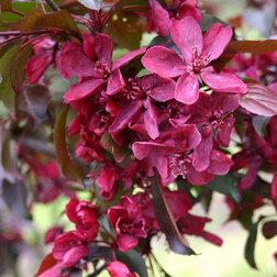 ������ ������ ������ ������������ ������ (� �����)   ����