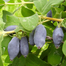 ������ ������ ��������� ��������� ������ ��������   ����