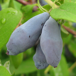 ������ ������ ��������� ��������� ���� 1   ����