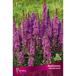 ������ ������ ��������� ����������   ����