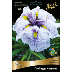 ������ ������ ���� �������� �������� �������   ����