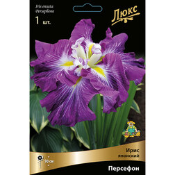 ������ ������ ���� �������� ��������   ����