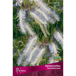 ������ ������ ����������� ������������   ����