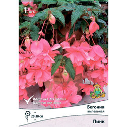 ������ ������ ������� ��������� ���� (1��.)   ����