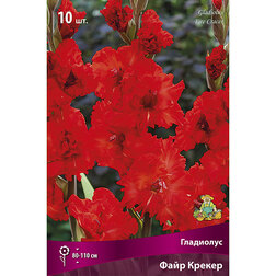 ������ ������ ��������� ���� ������ (10��.)   ����