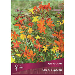 ������ ������ ��������� ����� ������� (10��.)   ����