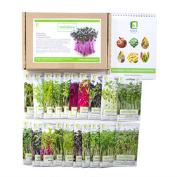 ������ ������ ����� ����� 