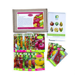 ������ ������ ����� ����� 