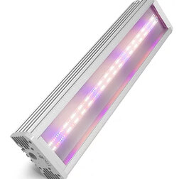 ������ ������ ��������������� FitoLED PROFI 75 Combo (������ ������) 52 ��   ����