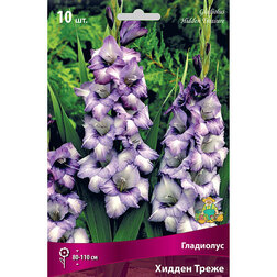 ������ ������ ��������� ������ �����   ����