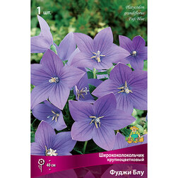 ������ ������ ����������������� ��������������� ����� ���   ����